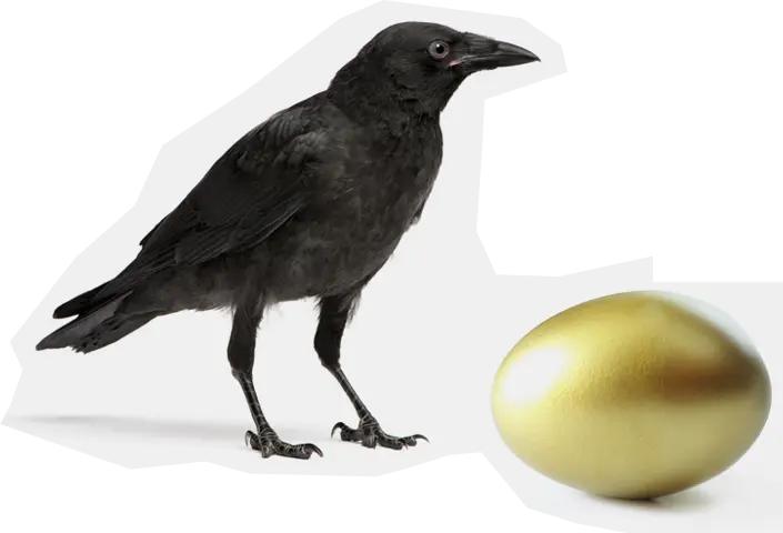 Crow and egg